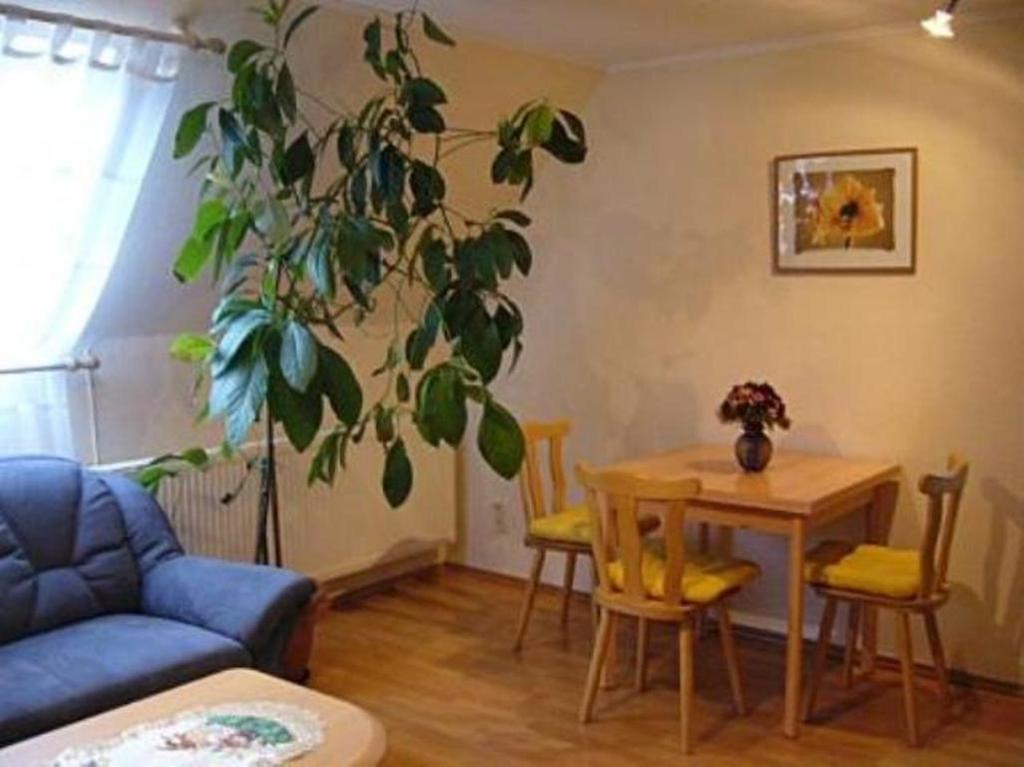 Haus Feldmuehle Apartment Bad Frankenhausen Room photo
